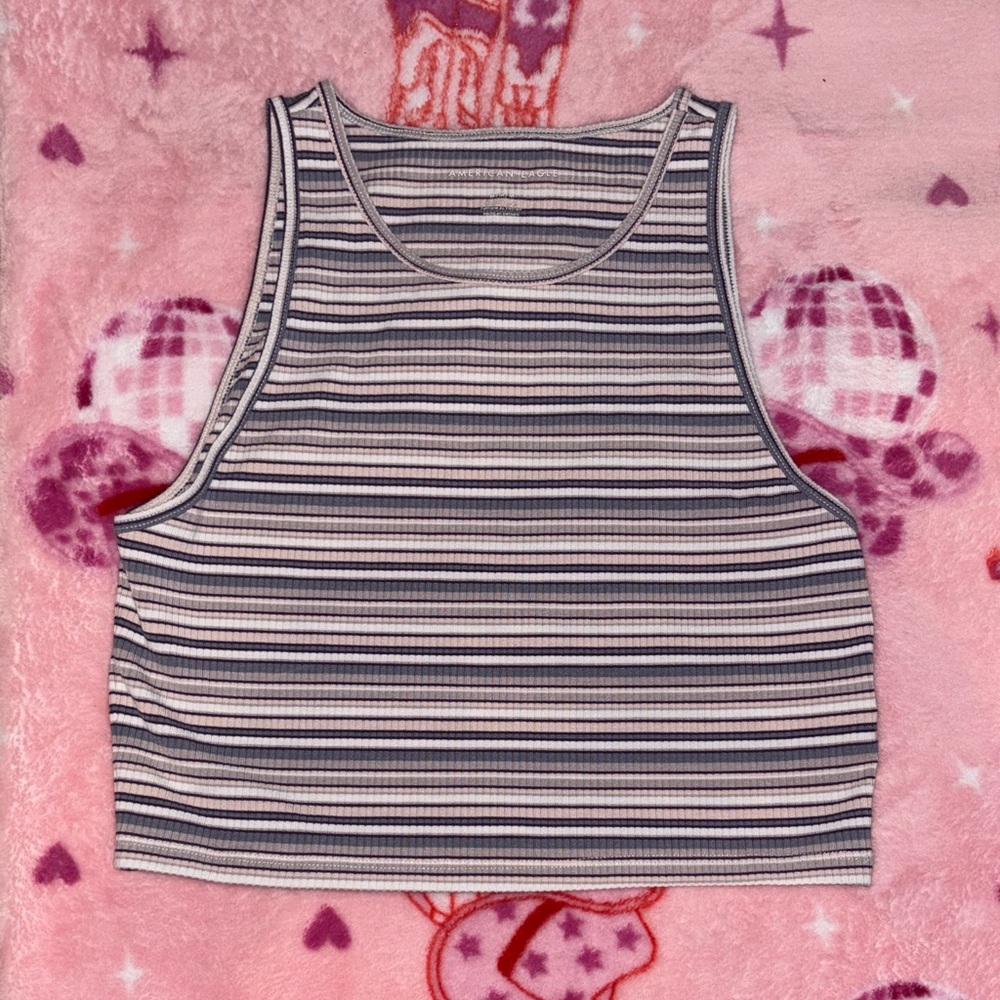 American Eagle Outfitters Navy and White Striped Crop Top